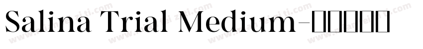 Salina Trial Medium字体转换